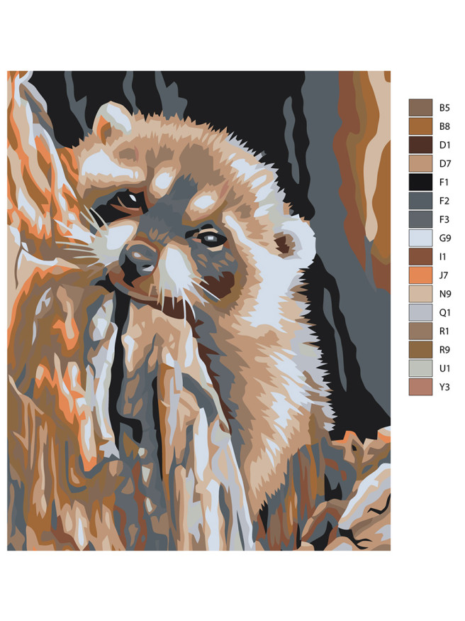 Raqamlar bo&amp;#039;yicha rasm &amp;quot;Charchagan rakun&amp;quot;