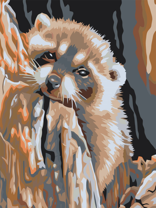 Raqamlar bo&amp;#039;yicha rasm &amp;quot;Charchagan rakun&amp;quot;