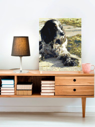 Raqamlar bo'yicha rasm "Tukli it"