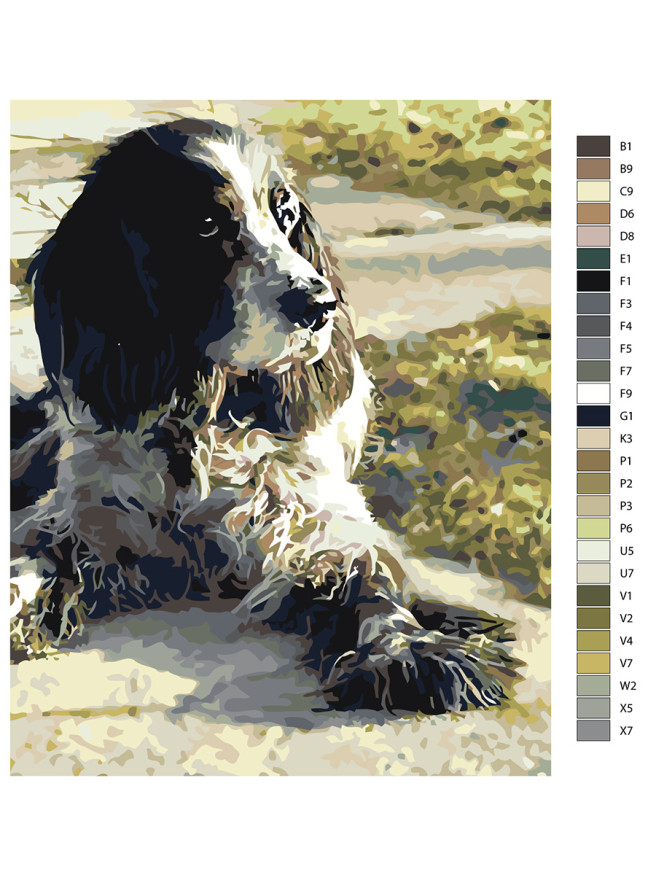 Raqamlar bo&amp;#039;yicha rasm &amp;quot;Tukli it&amp;quot;