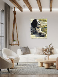 Raqamlar bo'yicha rasm "Tukli it"