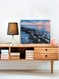 Raqamlar bo&#039;yicha rasm &quot;Plyajdagi toshbaqalar&quot;