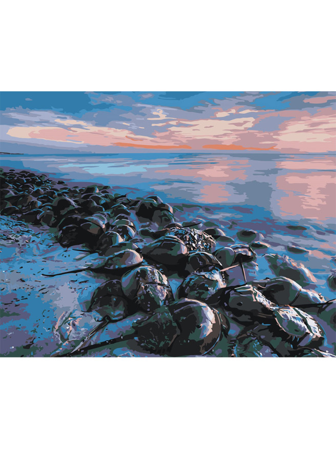 Raqamlar bo&amp;#039;yicha rasm &amp;quot;Plyajdagi toshbaqalar&amp;quot;