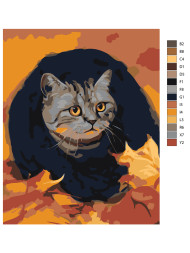 Raqamlar bo&#039;yicha rasm &quot;Qo&#039;rqqan mushuk&quot;