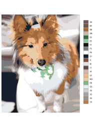 Raqamlar bo&#039;yicha rasm &quot;Yumshoq it&quot;