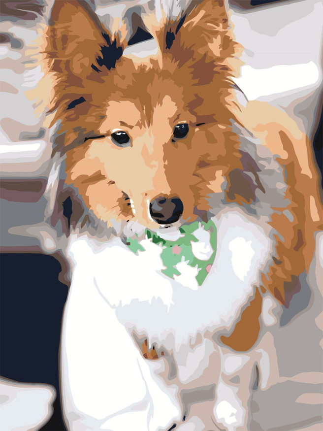 Raqamlar bo&amp;#039;yicha rasm &amp;quot;Yumshoq it&amp;quot;