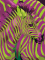 Картина по номерам &amp;quot;Розово-зелёная зебра&amp;quot;