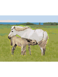 Raqamlar bo'yicha rasm "Otlar oilasi"