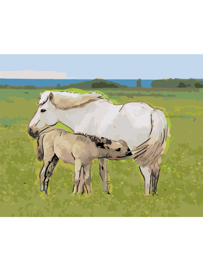 Raqamlar bo&amp;#039;yicha rasm &amp;quot;Otlar oilasi&amp;quot;