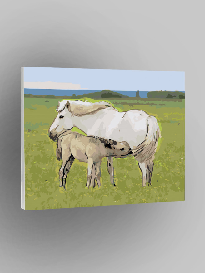 Raqamlar bo&amp;#039;yicha rasm &amp;quot;Otlar oilasi&amp;quot;