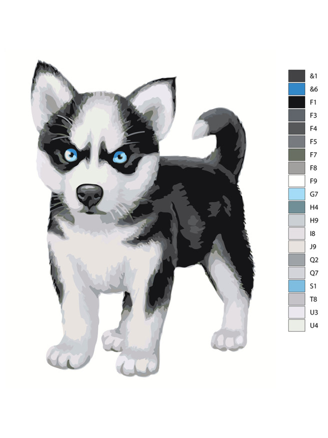 Raqamlar bo&amp;#039;yicha rasm &amp;quot;Kichkina husky&amp;quot;