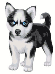 Raqamlar bo'yicha rasm "Kichkina husky"