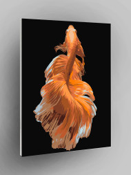 Raqamlar bo'yicha rasm "Oltin baliq"