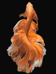 Raqamlar bo'yicha rasm "Oltin baliq"