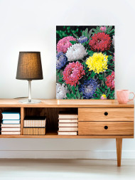 Raqamlar bo&#039;yicha rasm &quot;Rangbarang chinnigullar&quot;