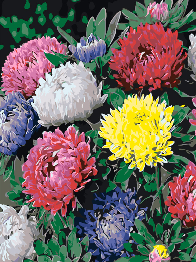 Raqamlar bo&amp;#039;yicha rasm &amp;quot;Rangbarang chinnigullar&amp;quot;