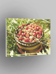 Картина по номерам &amp;quot;Сбор клубники&amp;quot;