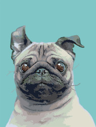 Raqamlar bo&#039;yicha rasm &quot;Kuchukcha&quot;