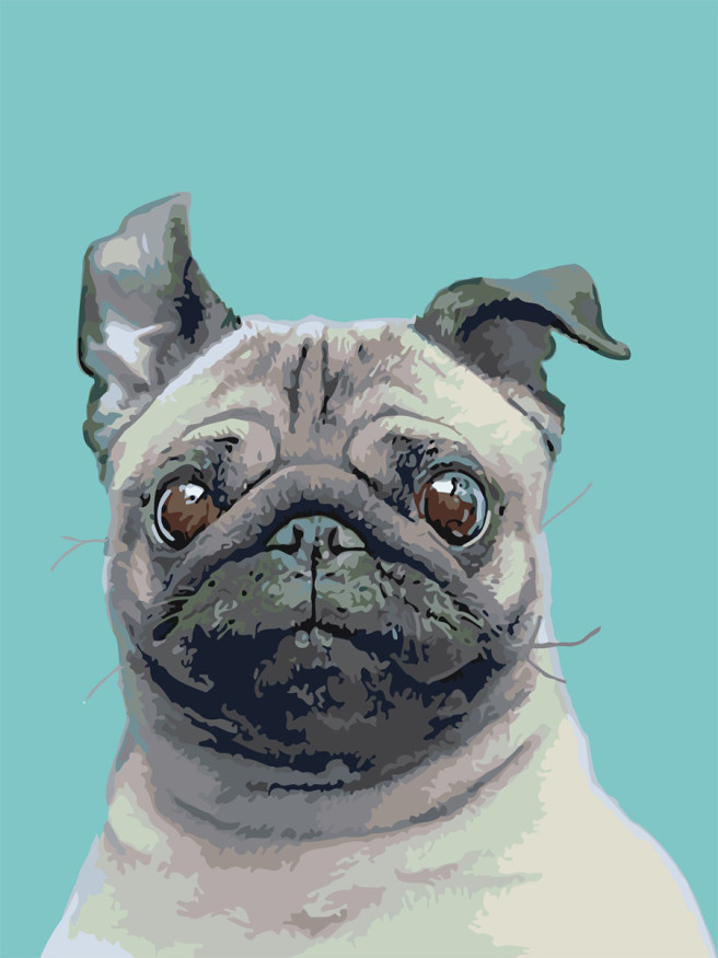 Raqamlar bo&amp;#039;yicha rasm &amp;quot;Kuchukcha&amp;quot;