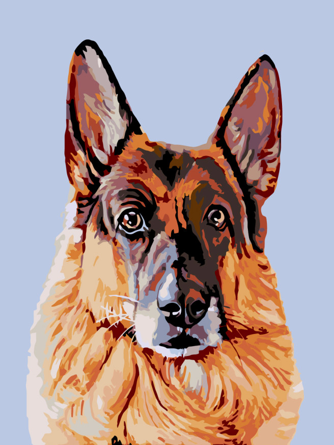 Raqamlar bo&amp;#039;yicha rasm &amp;quot;Nemis ovcharkasi&amp;quot;