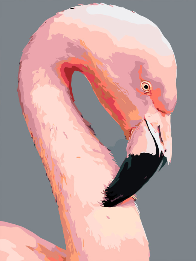 Картина по номерам &amp;quot;Розовое фламинго&amp;quot;