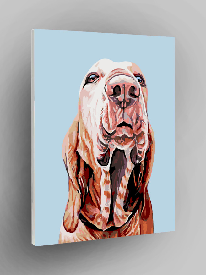 Raqamlar bo&amp;#039;yicha rasm &amp;quot;Brakko Italyano&amp;quot;