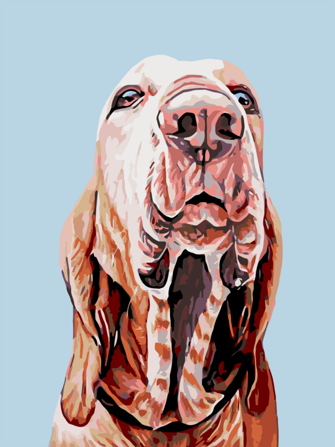 Raqamlar bo&amp;#039;yicha rasm &amp;quot;Brakko Italyano&amp;quot;