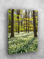 Постер на холсте &amp;quot;Лесная поляна с белыми цветами&amp;quot;