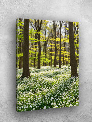 Постер на холсте &amp;quot;Лесная поляна с белыми цветами&amp;quot;