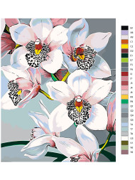 Картина по номерам &amp;quot;Белые орхидеи&amp;quot;