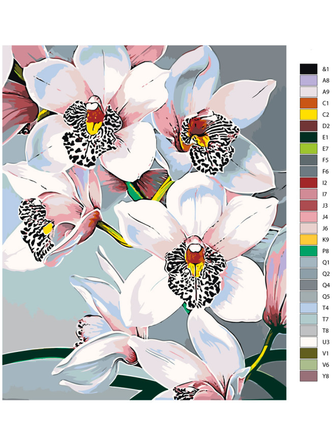 Raqamlar bo&amp;#039;yicha rasm &amp;quot;Oq orxideyalar&amp;quot;