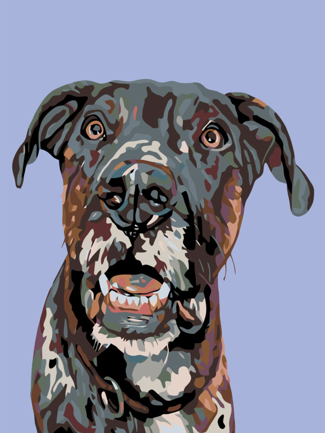 Картина по номерам &amp;quot;Портрет собаки&amp;quot;