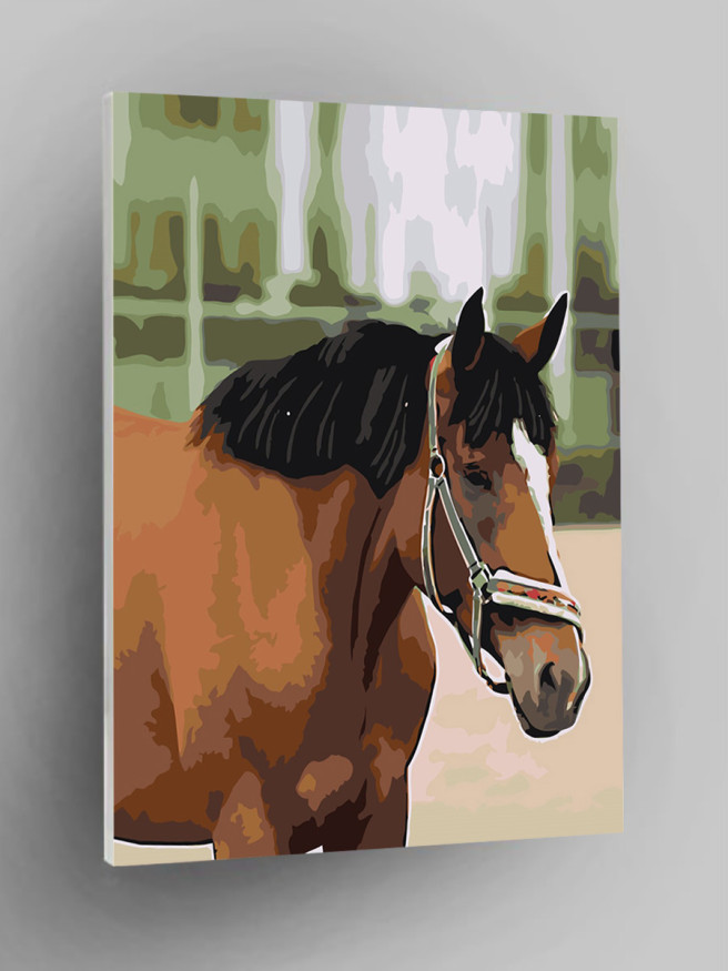 Raqamlar bo&amp;#039;yicha rasm &amp;quot;Ot&amp;quot;