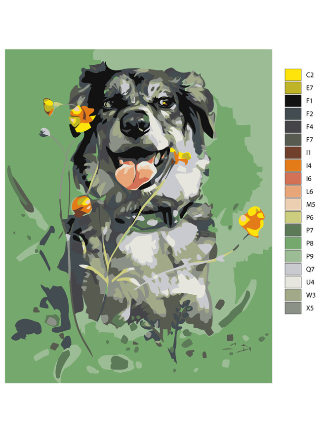 Raqamlar bo&amp;#039;yicha rasm &amp;quot;Gullar bilan it&amp;quot;