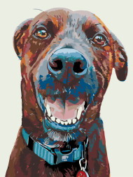 Raqamlar bo&#039;yicha rasm &quot;Kuchuk rasmi&quot;