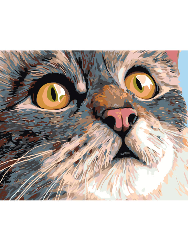 Картина по номерам &amp;quot;Милый котик&amp;quot;