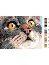 Картина по номерам &amp;quot;Милый котик&amp;quot;