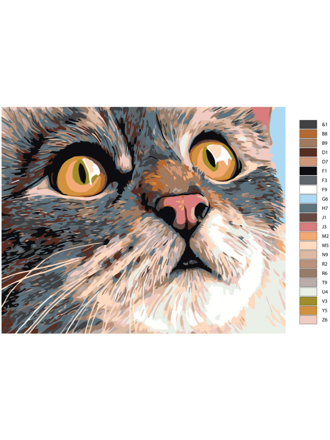 Картина по номерам &amp;quot;Милый котик&amp;quot;