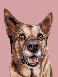 Raqamlar bo&#039;yicha rasm &quot;Ovcharka rasmi&quot;