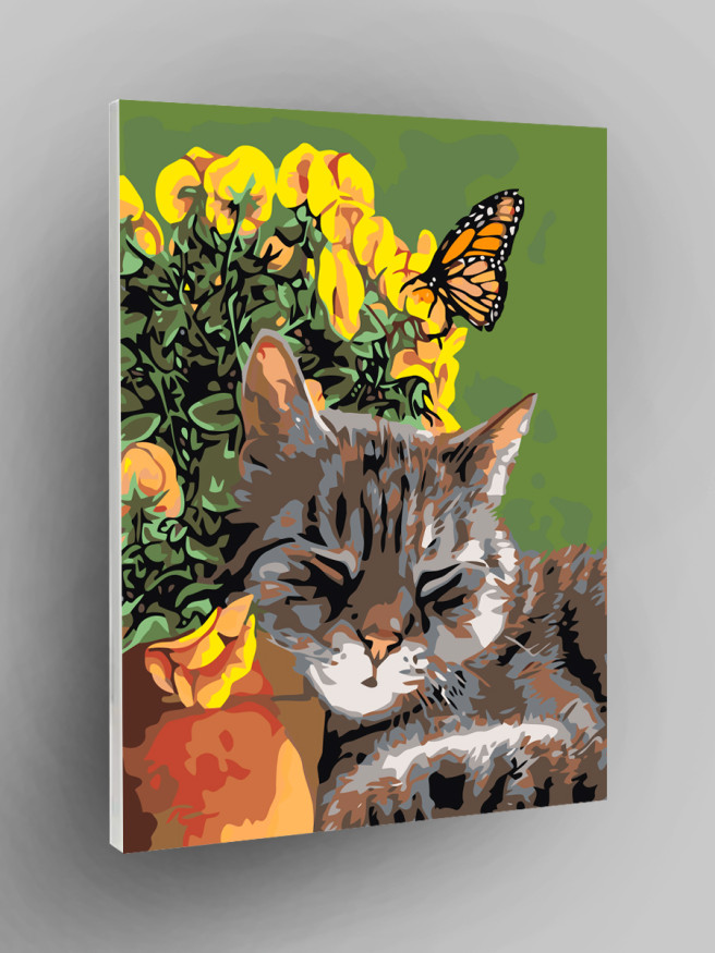 Raqamlar bo&amp;#039;yicha rasm &amp;quot;Uxlayotgan mushuk va kapalak&amp;quot;