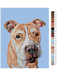 Raqamlar bo&#039;yicha rasm &quot;Pitbul rasmi&quot;