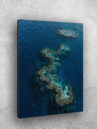 Постер на холсте &amp;quot;Коралловый риф&amp;quot;