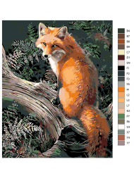 Raqamlar bo&#039;yicha rasm &quot;Tulki&quot;