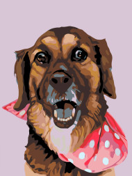 Raqamlar bo&#039;yicha rasm &quot;Ro&#039;moldagi kuchuk&quot;