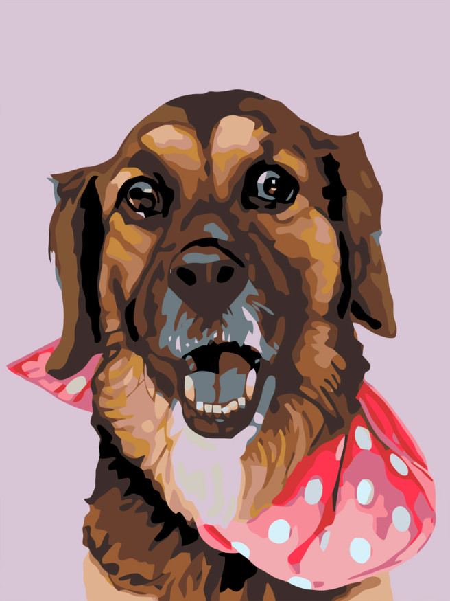 Raqamlar bo&amp;#039;yicha rasm &amp;quot;Ro&amp;#039;moldagi kuchuk&amp;quot;