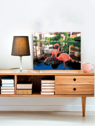 Raqamlar bo&#039;yicha rasm &quot;Uylar oldidagi flamigolar&quot;