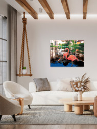 Raqamlar bo&#039;yicha rasm &quot;Uylar oldidagi flamigolar&quot;