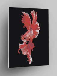 Raqamlar bo'yicha rasm "Chiroyli baliq"