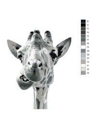 Картина по номерам &amp;quot;Жираф&amp;quot;