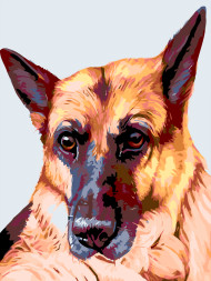 Raqamlar bo&#039;yicha rasm &quot;Nemis ovcharkasi&quot;